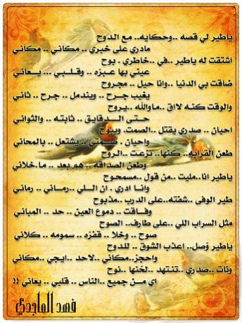 user11580 pic9789 1261022503
